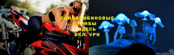 гашик Касимов
