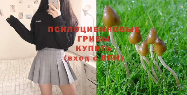гашик Касимов