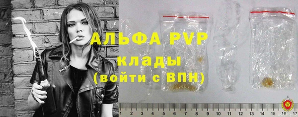 гашик Касимов