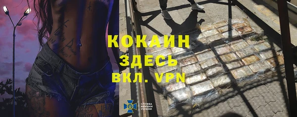 гашик Касимов
