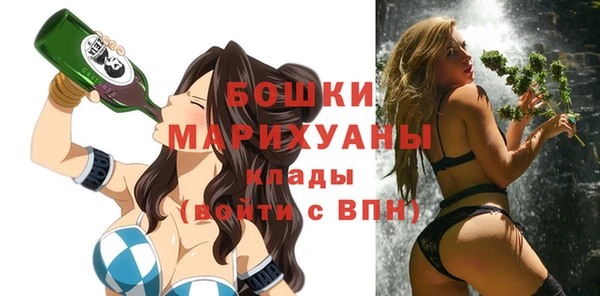 гашик Касимов