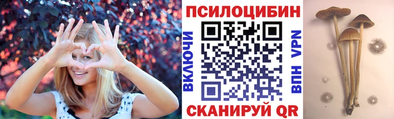 Купить закладки  Вязники  Псилоцибиновые грибы GOLDEN TEACHER 