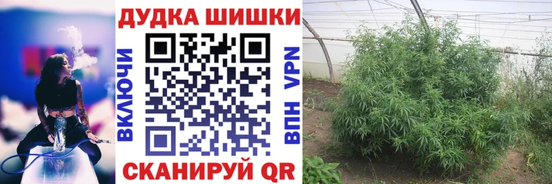 Канабис Bruce Banner  Купить где  Вязники 